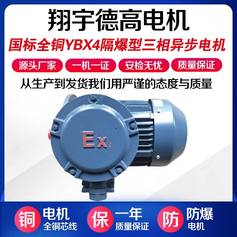 防爆电动机YBX3/YBX4国标大功率隔爆型三相380v铜线节能减速马达 - 图3