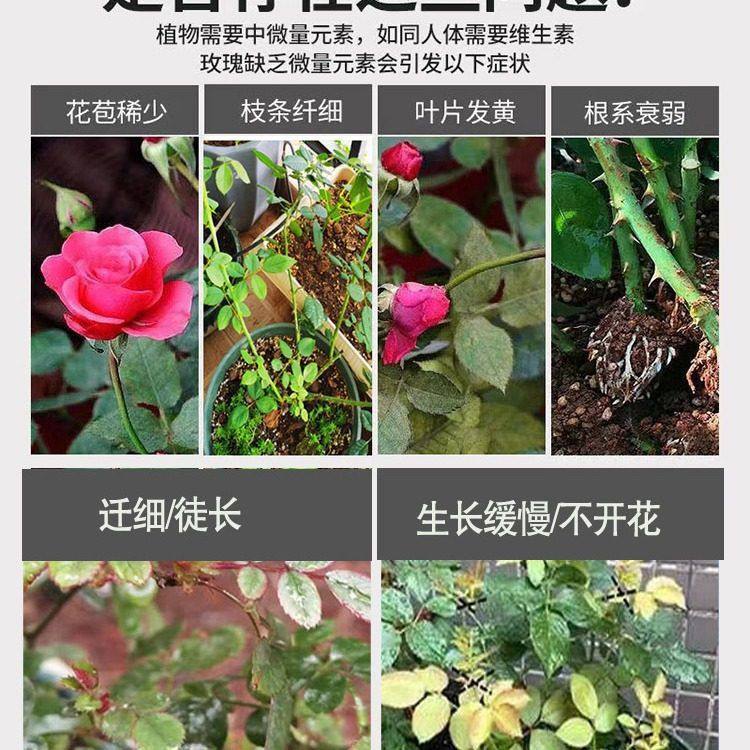 月季专用促进开花花大花艳藤本月季树状月季通用复混料花神纪,淘宝优惠券,粉丝福利购,淘宝优惠卷