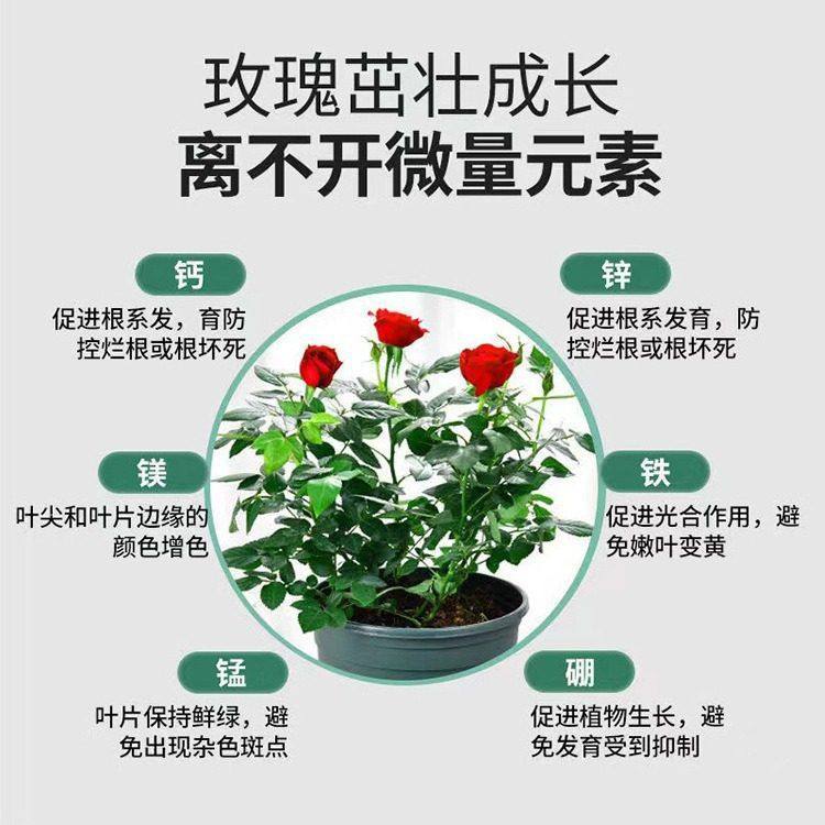 月季专用促进开花花大花艳藤本月季树状月季通用复混料花神纪,淘宝优惠券,粉丝福利购,淘宝优惠卷