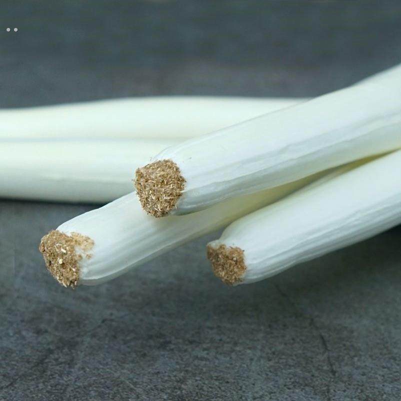 仿真大葱假山东葱蔬菜模型装饰菜品玩具儿童认知果蔬儿童早教道具,淘宝优惠券,粉丝福利购,淘宝优惠卷