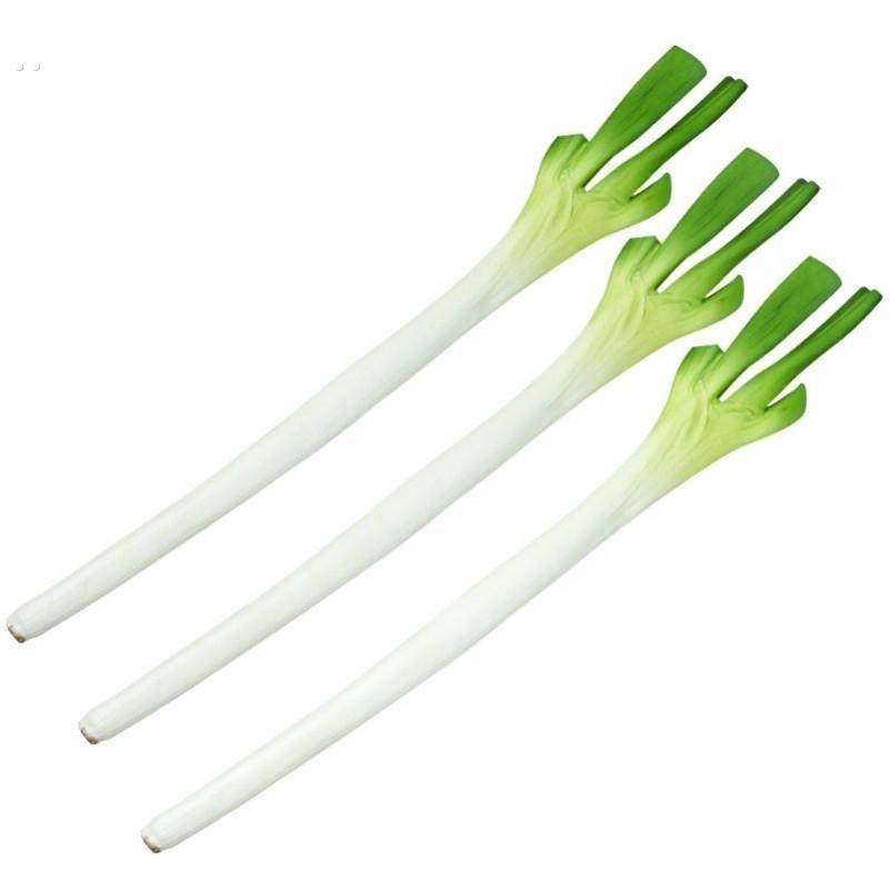 仿真大葱假山东葱蔬菜模型装饰菜品玩具儿童认知果蔬儿童早教道具,淘宝优惠券,粉丝福利购,淘宝优惠卷