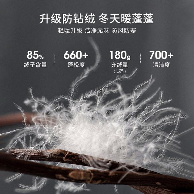 Co-branded windproof and waterproof jacket Panda