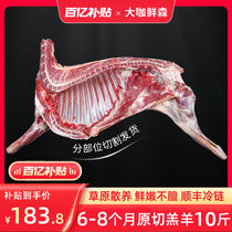Large curry Senson half of sheep and sheep Goats Scorpion Sheep Leg 10 Kilos Mutton Sheep Ribs Frozen Sheep Scorpion Hotpot Ingredients
