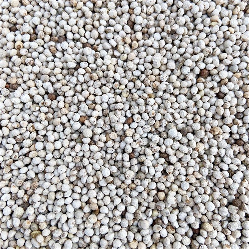 苏子白苏子软苏子鸟食鸟u粮 鹦鹉金丝雀芙蓉鸟黄雀 拍=5斤,淘宝优惠券,粉丝福利购,淘宝优惠卷