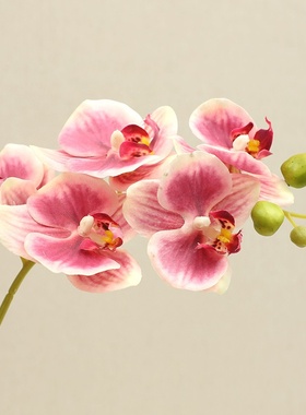 兰桂坊高端手感保湿感蝴蝶兰仿真花家居客厅餐桌装饰摆件假花