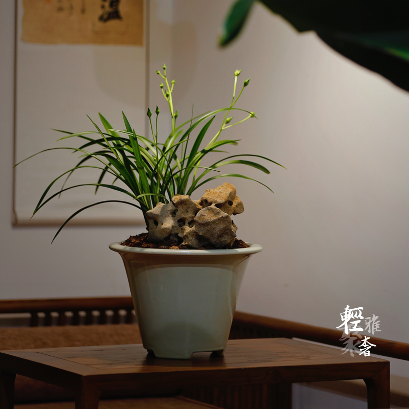 轻奢 东门青箬笠茶沫绿釉斗笠紫砂兰花盆 春兰建兰莲瓣莲蕙兰盆 - 图0