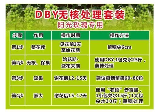 郑州果树研究所f阳关玫瑰葡萄专用DBY无核处理农硕4%赤霉酸农资。 - 图0