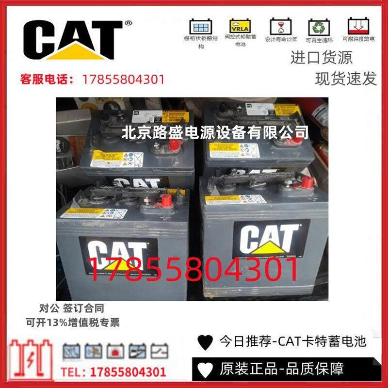 卡特CAT蓄电池3T5760/12V100AH-31-BCI 湿式蓄电池/挖掘机/推土机 - 图3