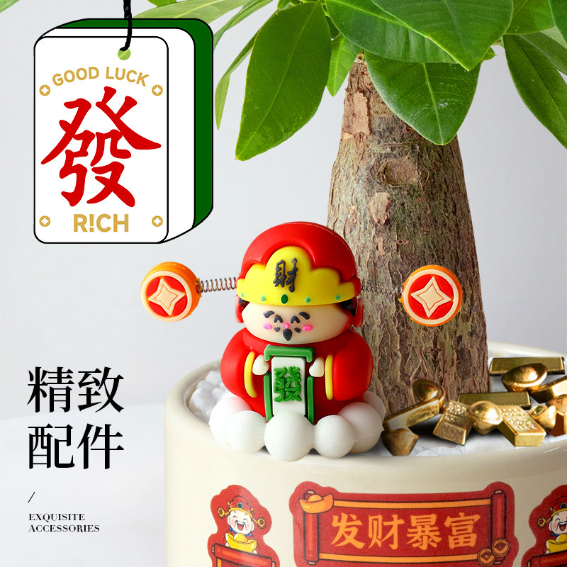 发财树小盆栽室内招财树植物摆件客厅办公室桌面绿植开业乔迁送礼,淘宝优惠券,粉丝福利购,淘宝优惠卷
