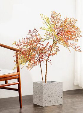真石漆花盆长条型花槽工程长方形水泥花盆花箱户外庭院种植箱方形