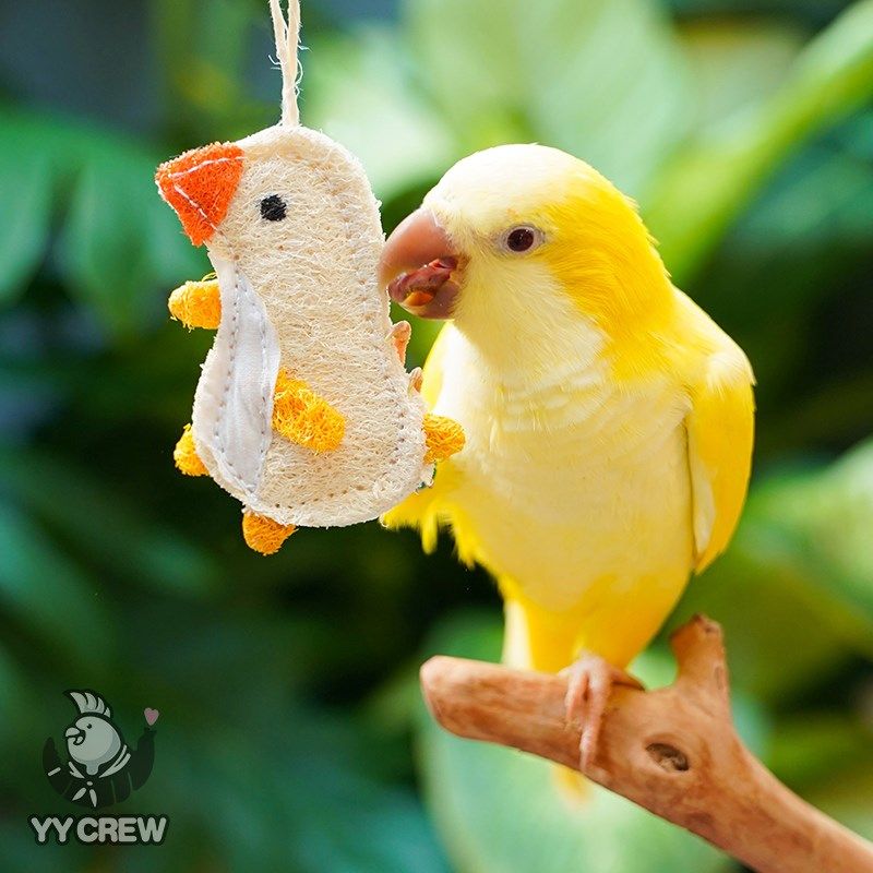 快速发货鹦鹦队鹦鹉小鸡啃咬挂件丝瓜络解闷玩具牡丹Y玄凤文鸟互,淘宝优惠券,粉丝福利购,淘宝优惠卷