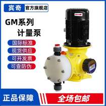 American Mitton RoGM Series Mechanical Diaphragm Metering Pump GM0330TP-GM0500TP Pump Head Material PVDF