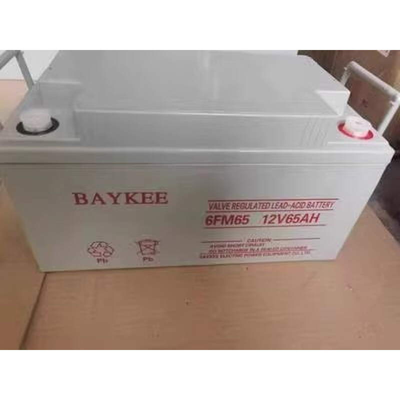 BAYKEE柏克蓄电池6FM12V17ah24ah35ah65AH100AH消防UPS直流屏电源 - 图1