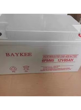 BAYKEE柏克蓄电池6FM12V17ah24ah35ah65AH100AH消防UPS直流屏电源