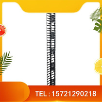 AR7580A vertical cable manager for 750MM wide NetShelter SX 42U enclosure