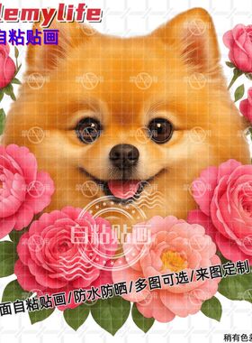 可爱博美狗狗贴纸墙贴自粘贴画贴