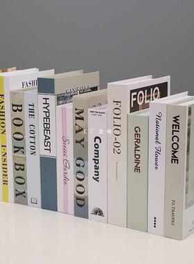 办公室现代简约假书摆件客厅书ins装饰书房样板间摆设道具书