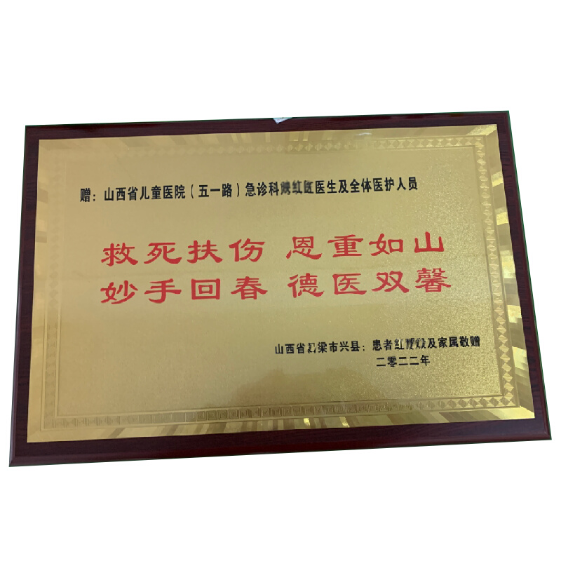 感谢感恩答谢赠送医生护士老师恩师装潢牌匾留念铜牌定做定制纪念-图3