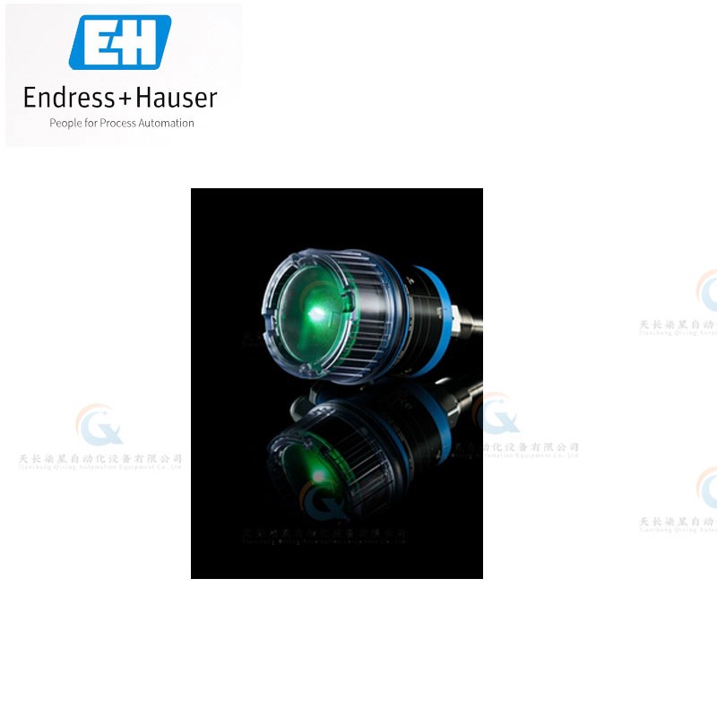 FTL41 FTL3h1 FTL33 FTL51B FTL62 FTL64 FTL51H音叉开关 E+H - 图1