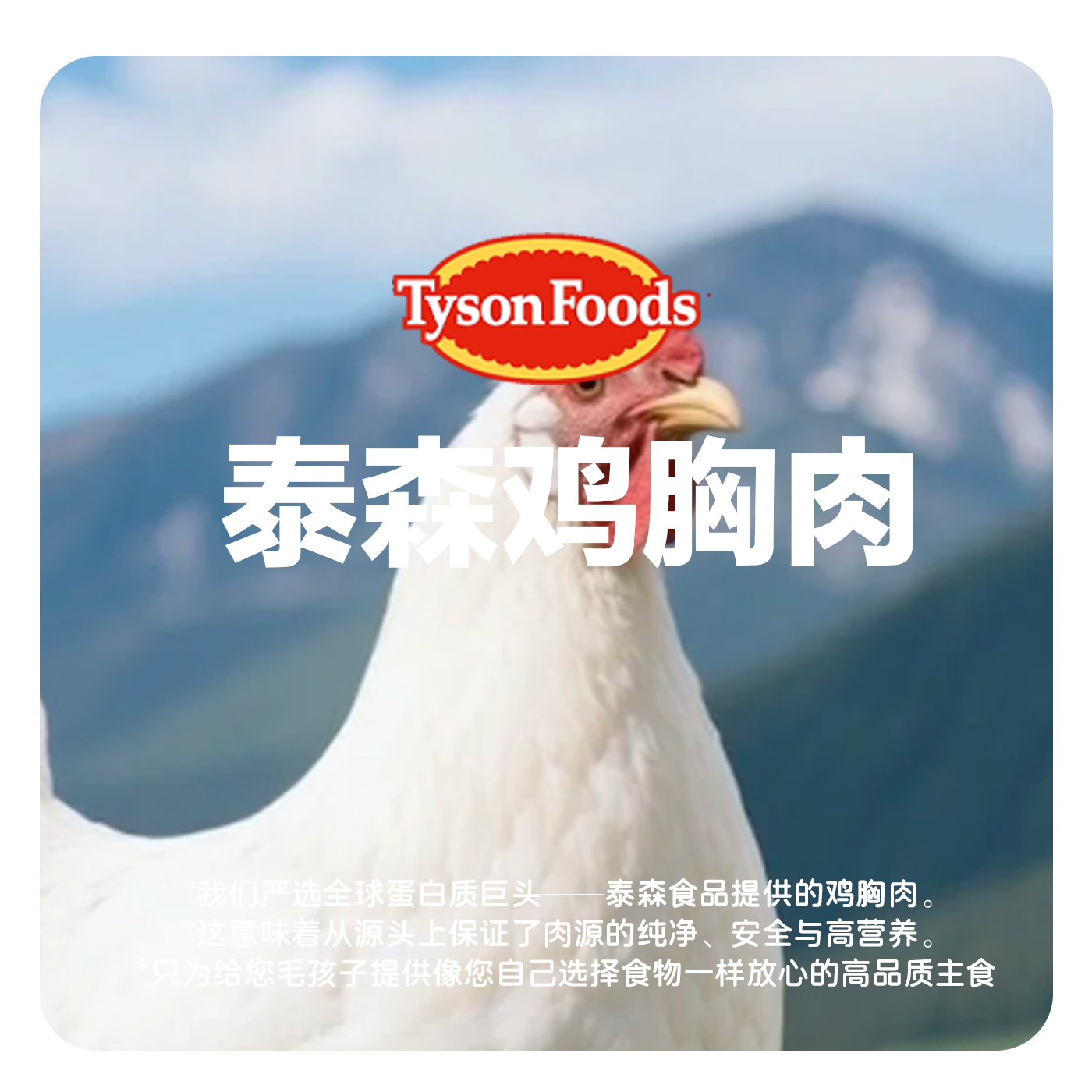 禾式【白金系列】全价无谷主食冻干生骨肉猫粮仙贝鸡肉配方230g,淘宝优惠券,粉丝福利购,淘宝优惠卷