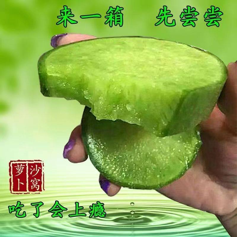正宗天津沙窝萝卜水果萝卜甜脆水果型新鲜青萝卜生吃非潍坊罗卜,淘宝优惠券,粉丝福利购,淘宝优惠卷