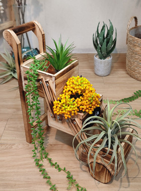 仿真鲜花绿植g阳台花园木制花架装饰庭院幼儿园自然角环创田园摆