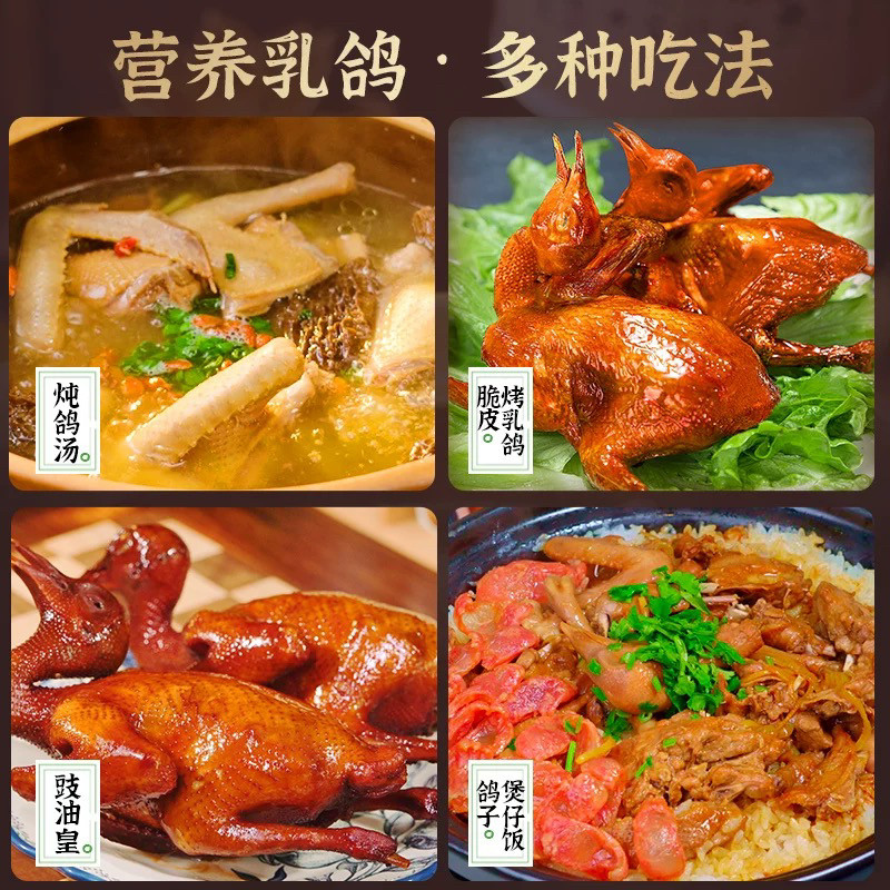 新鲜现杀鸽子正宗3年老鸽子农家散养土鸽子大乳鸽生鲜鸽子肉煲汤