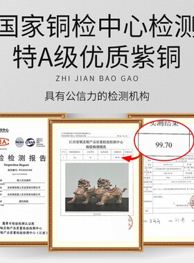 紫铜貔貅摆件一对公母招镇办x公室家宅客厅八方来财铜制大号铜貔