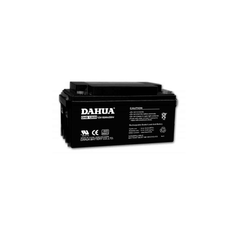 特价DAHUA蓄电池DHB121000大华电池12V100Ah/铅酸免维护UPS专用-图0