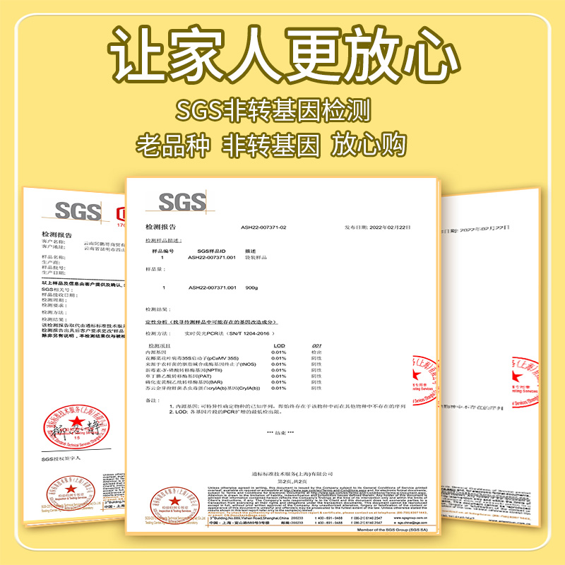 云南西双版纳拇指玉米即食香糯小手指白糯玉米新鲜现摘儿童玉米棒