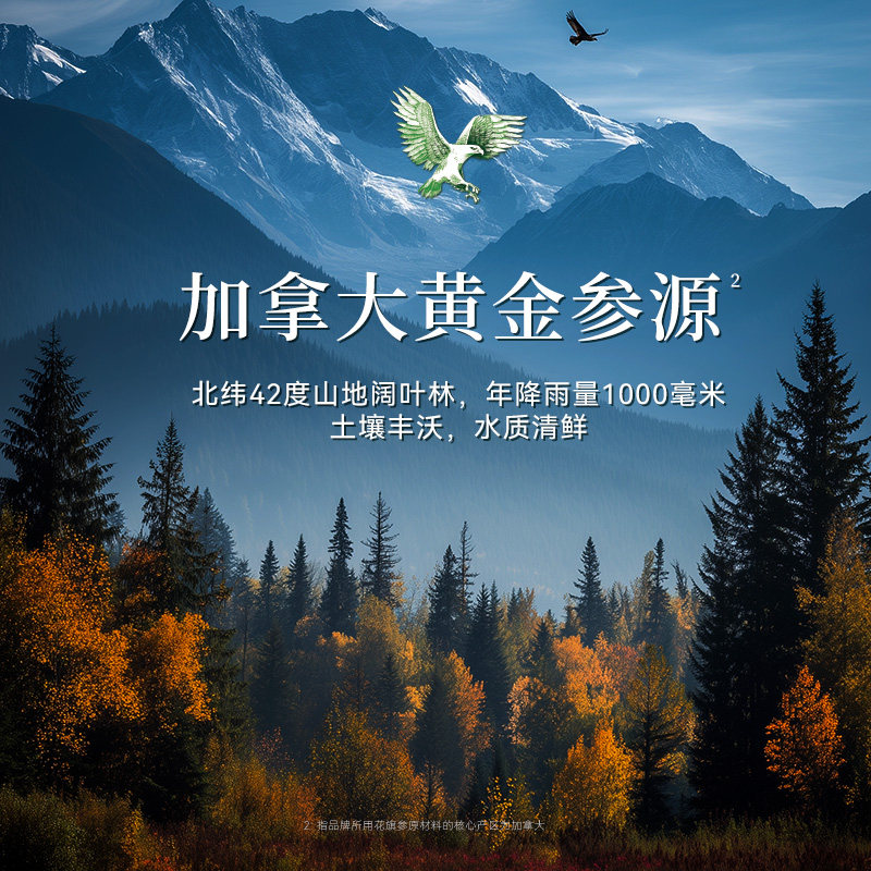 【新年限定礼盒】鹰牌花旗参茶西洋参高端礼品送长辈礼物马年新款,淘宝优惠券,粉丝福利购,淘宝优惠卷