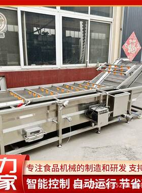 连续式果蔬气泡清洗机大型四季豆清洗设备商用太子参气泡清洗机