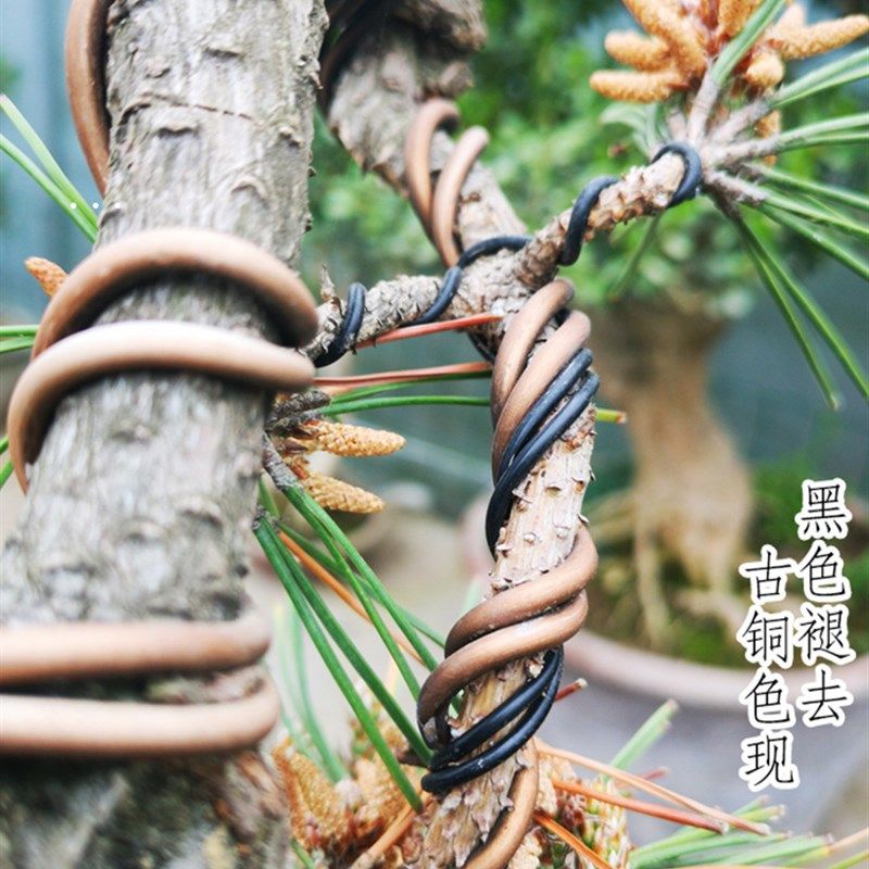 新盆景造型专用铝丝铝线用捆扎绑丝线植J物铝条花卉罗汉松攀盘扎,淘宝优惠券,粉丝福利购,淘宝优惠卷