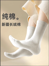 Socks Woman Midbarrel Socks Pure Cotton Spring Autumn New Pine