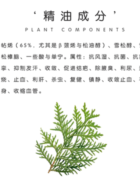 丝柏精油单方植物改善松弛提拉紧致香薰身体按摩油滋养肌肤香薰