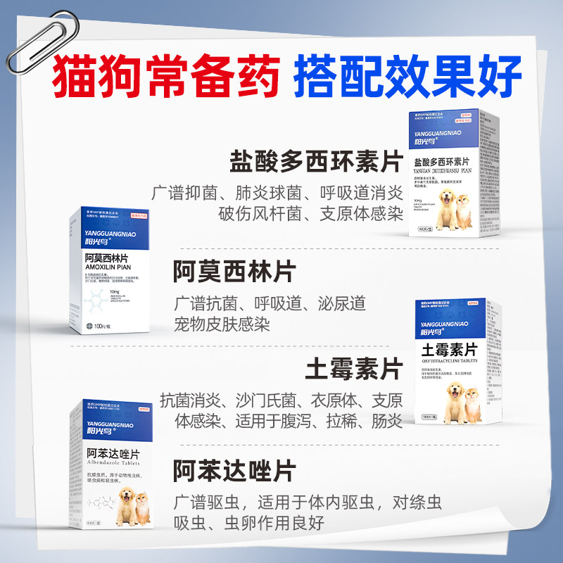 猫咪感冒药狗狗咳嗽阿莫西林片消炎止咳药猫鼻支流鼻涕肺炎常备药,淘宝优惠券,粉丝福利购,淘宝优惠卷