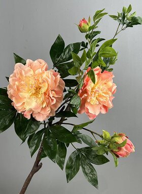 手感保湿牡丹花仿真花家居装饰中式花艺高级感牡丹芍药花婚庆道具