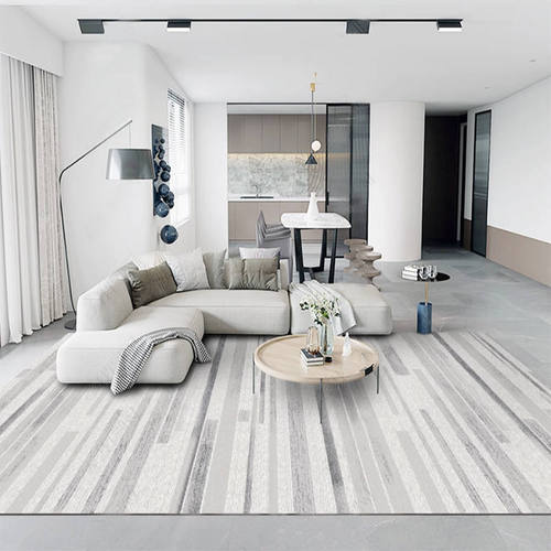 轻奢高级客厅地毯小户型天津茶几沙发易清洗家用简约风深灰色地毯