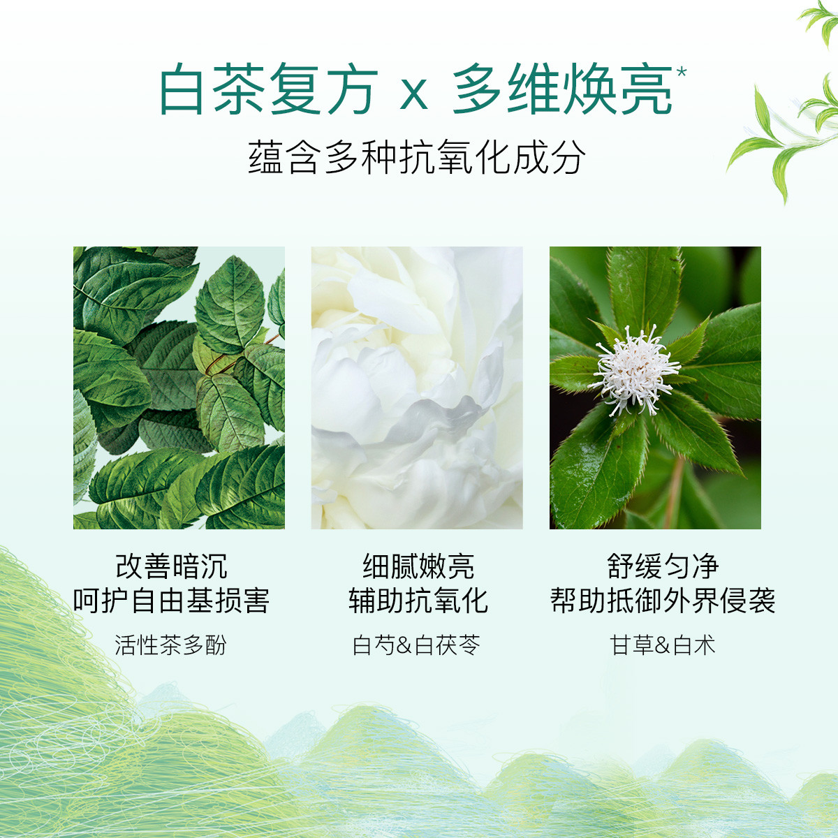  佰草集青苹果乐园面部护理套装