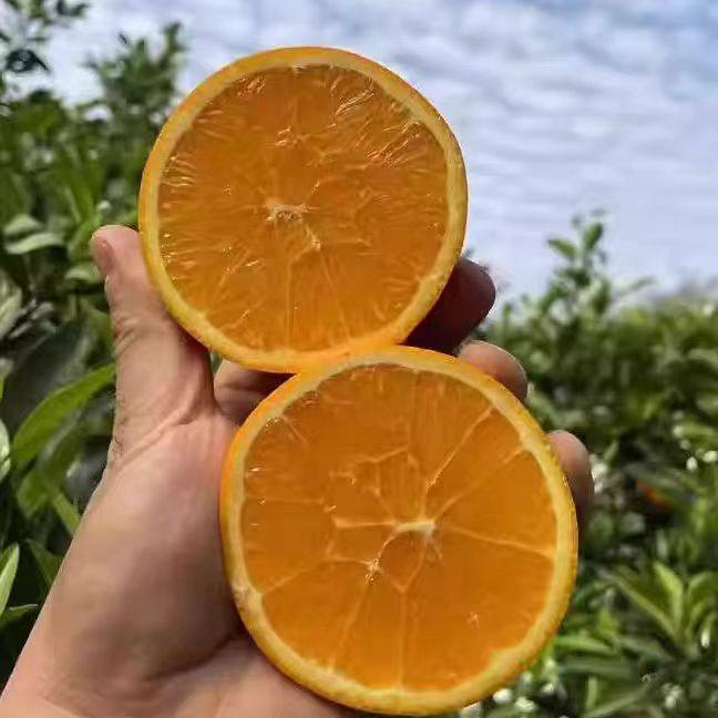 秭归伦晚脐橙新鲜水果橙子果园直发赣正南宗应当季整箱冰糖甜,淘宝优惠券,粉丝福利购,淘宝优惠卷