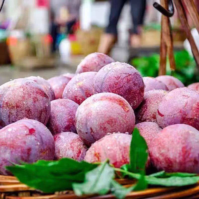 红肉黑布林5斤新鲜李子当季现摘黑金刚恐龙蛋脆李子孕妇大果包邮,淘宝优惠券,粉丝福利购,淘宝优惠卷