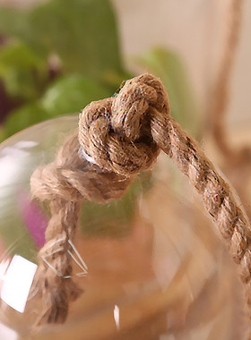 bbglass实木玻璃罩样板房带麻绳工艺品客厅装饰品家居钻孔摆件