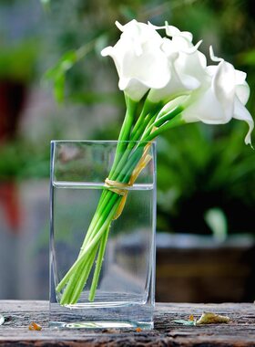 小型透明玻璃花瓶长方形条缸水培桌面家居玻璃摆件简约玻璃摆放