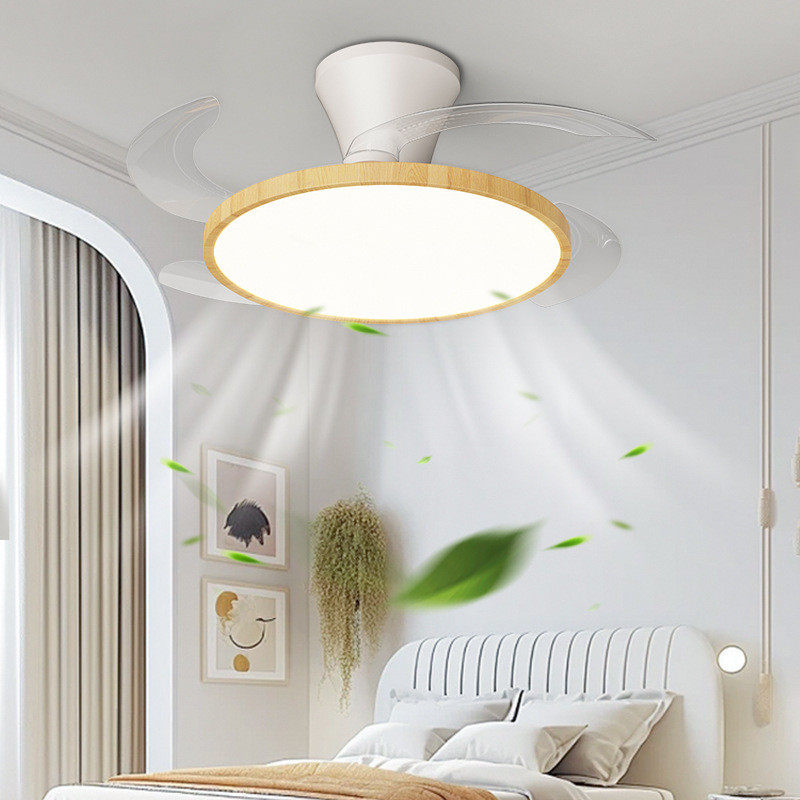 隐形风扇灯2025新款吊扇灯吸顶家用变频客厅餐厅卧室电扇吊灯一体,淘宝优惠券,粉丝福利购,淘宝优惠卷