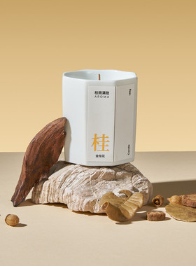 高级感小众树桩桌面摆件沉木造景 木头树枝香薰产品拍照道具装饰