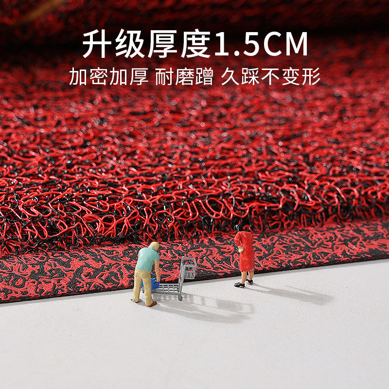 地垫入户门垫进门大门口丝圈脚垫门外2024新款红色玄关进户门地毯,淘宝优惠券,粉丝福利购,淘宝优惠卷