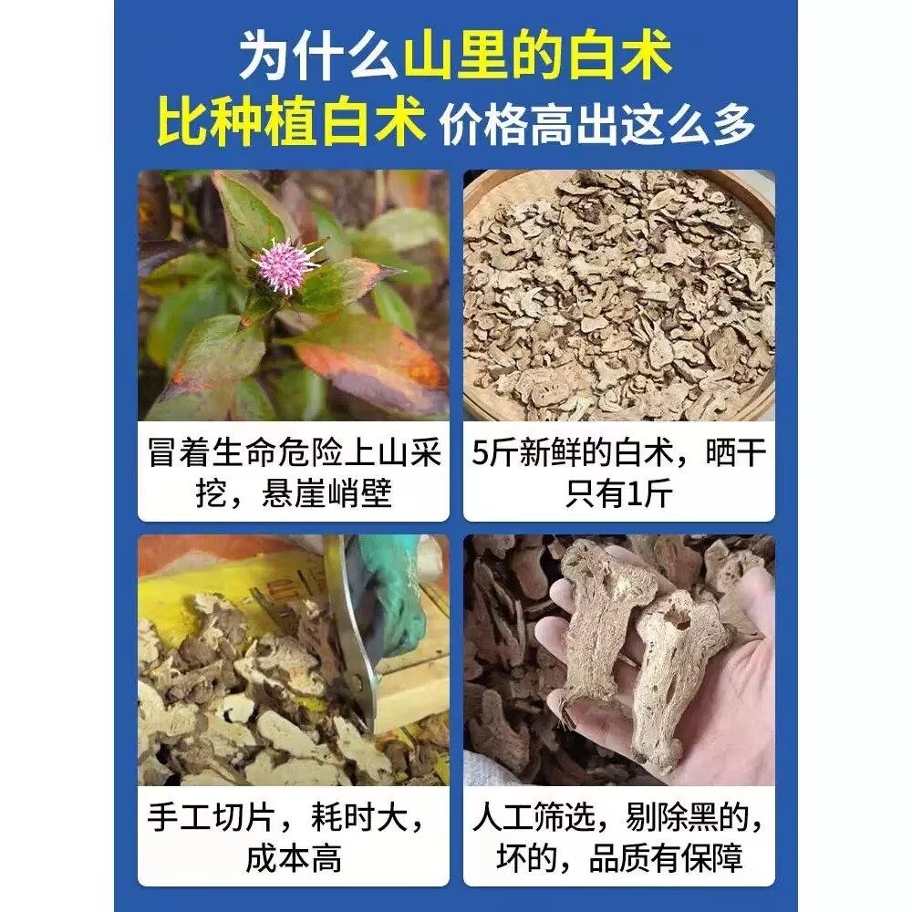 野生白术中药材500g无硫生白术炒片白术粉白芍茯苓甘草白芷三白汤,淘宝优惠券,粉丝福利购,淘宝优惠卷