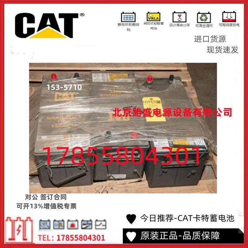 美国CAT卡特蓄电池175-4370 12V100Ah 浮充循环电池825CCA  包邮 - 图0