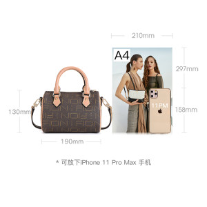 Fion/菲安妮女包老花波士顿包 2024新款复古休闲轻奢感小众枕头包