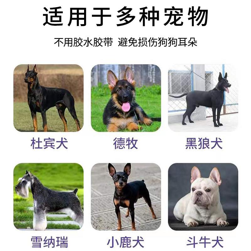 狗狗立耳贴神器黑狼犬杜宾犬柯基幼犬折耳朵固定器通用竖耳辅助器 - 图0